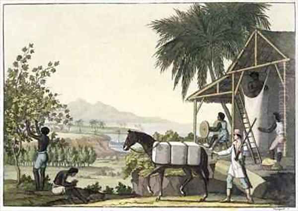 Cotton making Dutch Antilles East Indies Oil Painting by Paolo Fumagalli