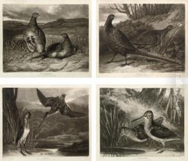 British Feather Game: Pl.1 Partridges; Pl.2 Pheasants; Pl.3 Snipes; And Pl.4 Woodcocks Oil Painting by Joseph Mallord William Turner