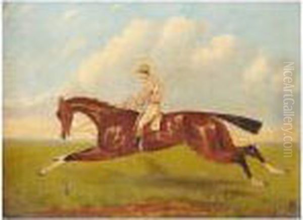 Racehorse And Jockey Oil Painting by Francis Calcraft Turner