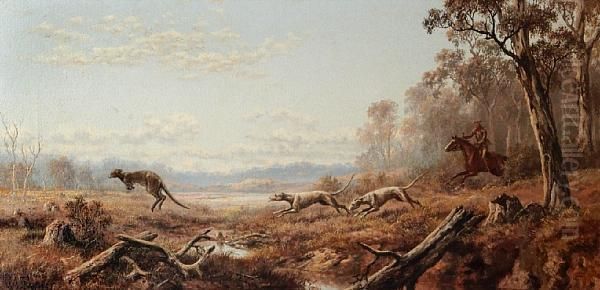 Out Of Cover: A Kangaroo Hunt Oil Painting by James Alfred Turner