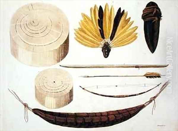 Tools weapons and utensils of Puri and Botocudos tribes Rio Grande region Oil Painting by Paolo Fumagalli