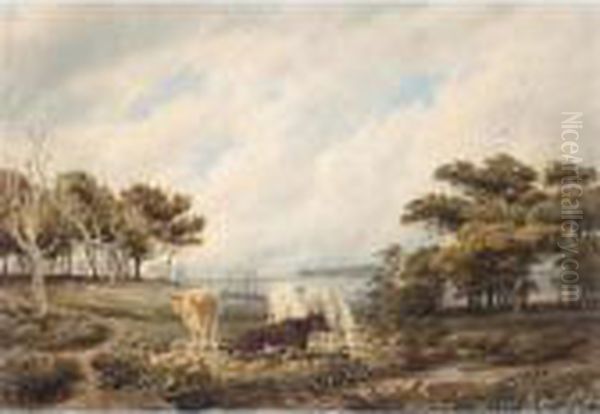 Cattle Grazing Near Beaulieu In The New Forest, Hampshire Oil Painting by William Turner