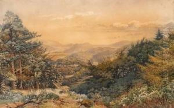 View Over Scottish Woodland Towards The Coast Oil Painting by William Turner