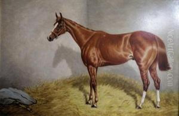 Portrait Of The Race Horse 