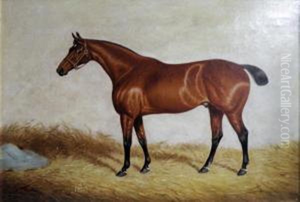 Portrait Of A Chestnut Hunter Oil Painting by William Eddowes Turner