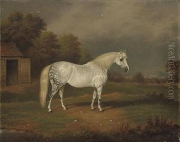 Skewbald Horse Oil Painting by William Eddowes Turner