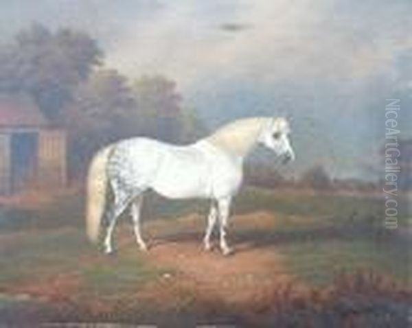 A Dapple Grey Horse Oil Painting by William Eddowes Turner