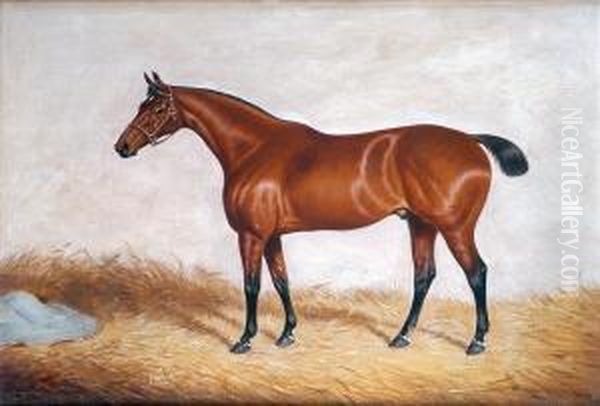 Portrait Ofa Chestnut Hunter, In A Stable Oil Painting by William Eddowes Turner