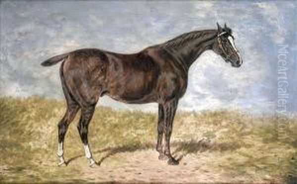 Portrait Ofthe Dark Bay Racehorse Warrior Oil Painting by William Eddowes Turner