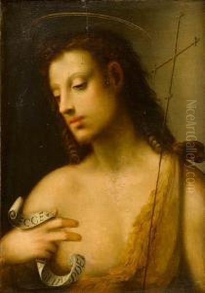 Saint John The Baptist Oil Painting by Domenico Puligo