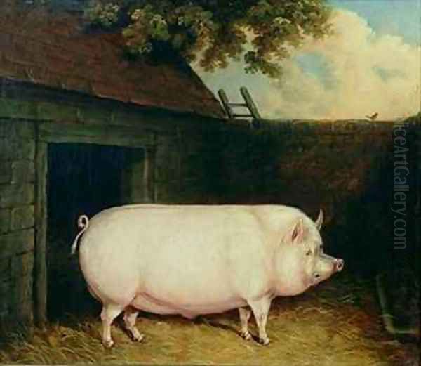 A Pig in its Sty Oil Painting by E.M. Fox