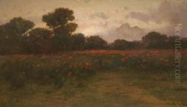 Campo De Amapolas Oil Painting by Modesto Urgell y Inglada