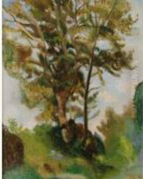 Arbres Dans Le Bearn Oil Painting by Andre Utter