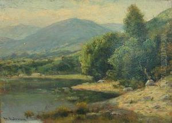 A Pond In The Foothills Oil Painting by Manuel Valencia