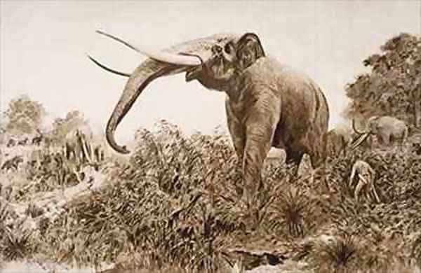 The Chatham Elephant Oil Painting by Amedee Forestier