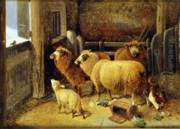 Christmas Greetings, A Stable Interior With Sheep, Fowl And Robin At The Door Oil Painting by Frederick E. Valter