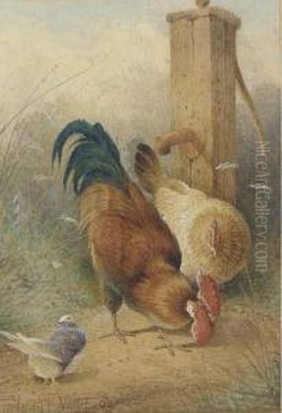 Hens In A Farmyard; And A Cockerel And Hen By A Water Pump(illustrated) by Frederick E. Valter