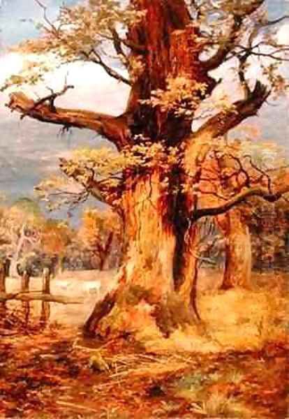 Blasted Oak Galloway Oil Painting by James Jnr Faed