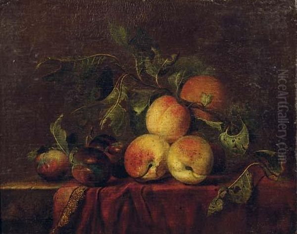 Peaches And Plums On A Covered Ledge Oil Painting by Willem Van Aelst