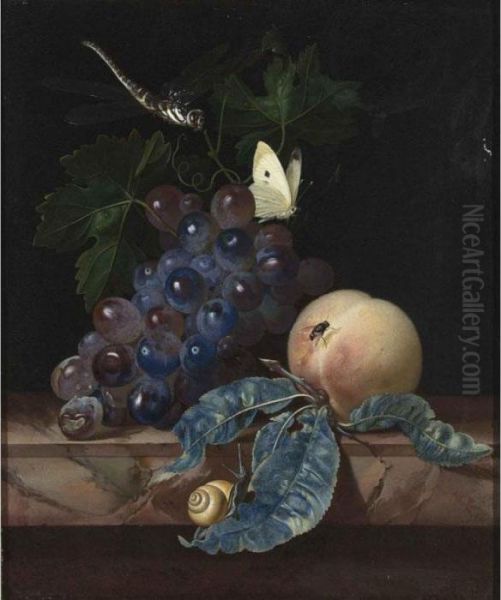 A Still Life With Grapes, A 
Peach, A Cabbage-white, A Dragon-fly, A Snail And A Fly, All On A Marble
 Ledge Oil Painting by Willem Van Aelst