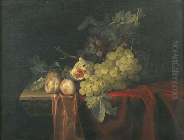 Grapes, Plums, Figs And A Melon, On A Partly Draped Stone Ledge Oil Painting by Willem Van Aelst