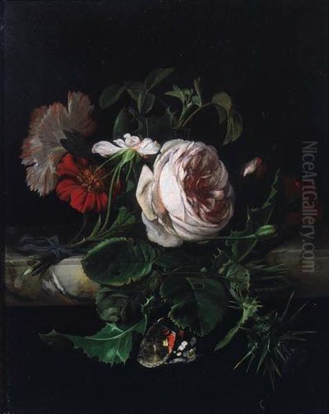 A Sprig Of Damask Roses, A White
 And Red Carnation And A Thistle,tied With A Blue Ribbon, With A Red 
Admiral, On A Stone Ledge Oil Painting by Willem Van Aelst