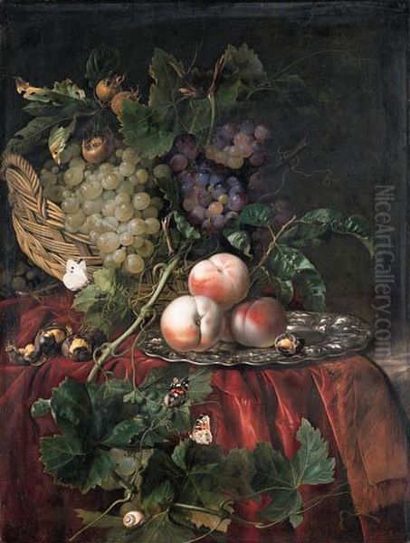 Grapes In A Basket, Peaches On A
 Silver Dish, Chestnuts, A Largewhite And Two Red Admiral Butterflies, A
 Fly And A Snail On A Vinetendril, On A Red Velvet Cloth Over A Partly 
Draped Ledge Oil Painting by Willem Van Aelst