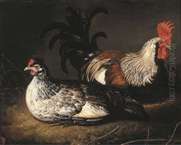 A Cockerel And A Hen Oil Painting by Abraham Van Calraet