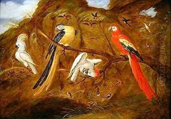 A scarlet blue and gold macaw with cockatoos and other birds in a landscape Oil Painting by Jan Baptist van Fornenburgh