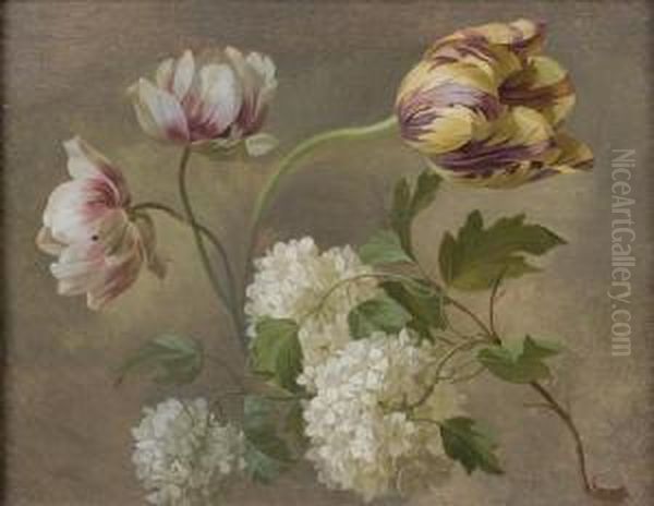 Etude De Tulipes Et Hortensias Oil Painting by Jan Frans Van Dael