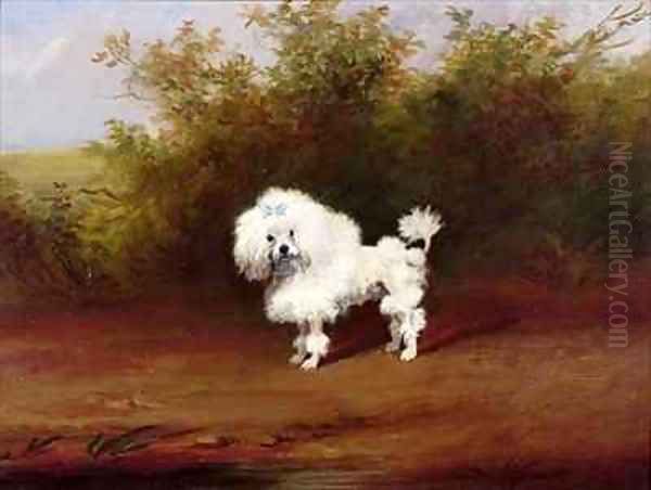 A Toy Poodle in a Landscape Oil Painting by Frederick French