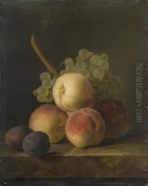 Nature Morte Aux Peches, Prunes Et Grappe De Raisin Blanc Sur Unentablement De Marbre Oil Painting by Jan Frans Van Dael