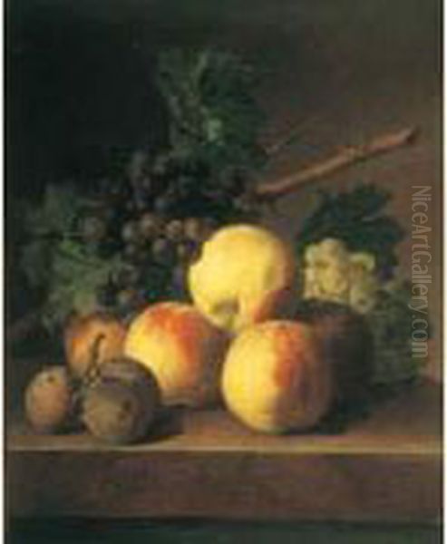 Nature Morte Aux Peches, Prunes Et Raisins Sur Un Entablement De Marbre Oil Painting by Jan Frans Van Dael