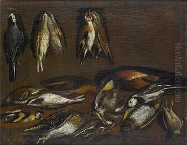 Dead Pied Wagtails, Goldfinches 
And Other Birds Hanging On A Wall With A Snipe And Other Birds On A 
Table-top Oil Painting by Jacob van der (Giacomo da Castello) Kerckhoven