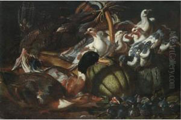 A Still Life With Ducks, Pigeons, A Dead Turkey, Figs And Melons Oil Painting by Jacob van der (Giacomo da Castello) Kerckhoven