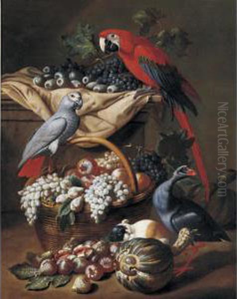 Still Life With Two Parrots, A Guinea Pig, A Basket Of Fruit And Fowl Oil Painting by Jacob van der (Giacomo da Castello) Kerckhoven