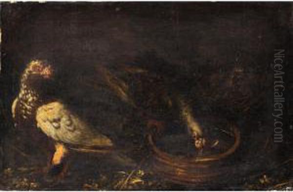 Still Life With Pigeons Drinking From A Bowl Oil Painting by Jacob van der (Giacomo da Castello) Kerckhoven