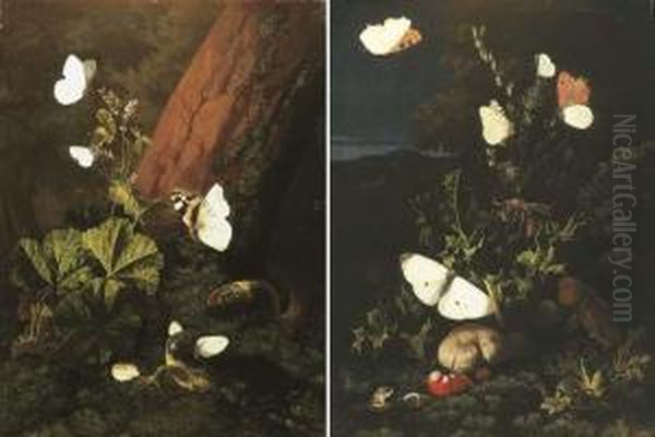 A Forest Floor Still Life With 
Butterflies And Snails, A Landscape Beyond; And A Forest Floor Still 
Life With Butterflies And Lizards Oil Painting by Carl Wilhelm de Hamilton