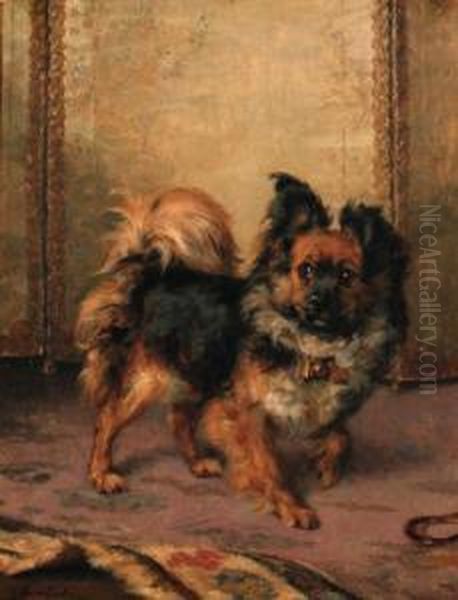 A German Spitz Oil Painting by Charles van den Eycken