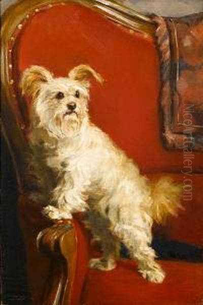 Toy Terrier On A Red Chair Oil Painting by Charles van den Eycken