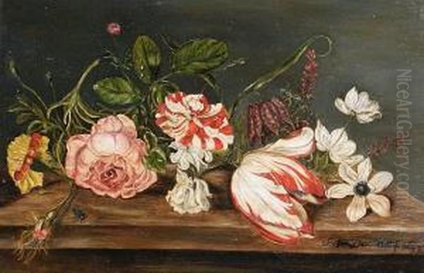 Roses, A Tulip, A Chrysanthemum And Otherflowers On A Table Top Oil Painting by Balthasar Van Der Ast