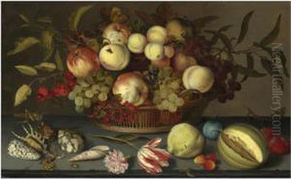 Still Life Of Peaches, Apples, 
Grapes, Cherries And Redcurrantsin A Basket, With Sea-shells, Insects, A
 Parrot Tulip, A Pink Roseand Further Fruit Scattered On The Stone Ledge
 Beneath Oil Painting by Balthasar Van Der Ast