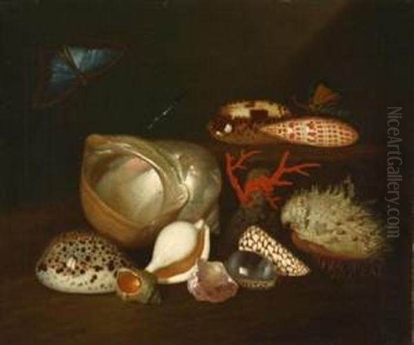 Still Life With Insects And Shells Oil Painting by Balthasar Van Der Ast