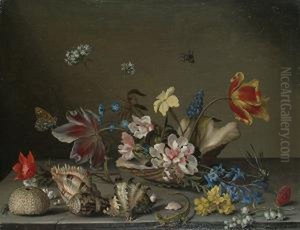 A Still Life Of Flowers 
Contained Within A Shell On A Ledge, With Scattered Shells And Lizard 
Beside It. Oil Painting by Balthasar Van Der Ast