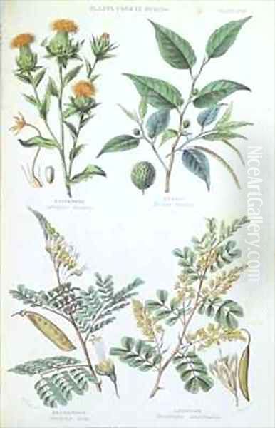 Plants used in Dyeing Oil Painting by W. Fitch