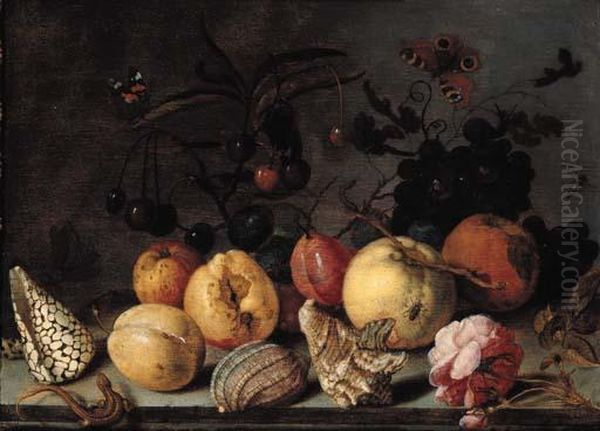 Fruit And Shells, With 
Butterflies, A Dragonfly, A Lizard, A Snail And A Fly On A Stone Ledge Oil Painting by Balthasar Van Der Ast