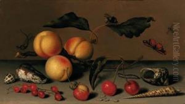 Apricots On A Stalk, Cherries, A
 Wild Strawberry, Redcurrants,shells, A Butterfly, A Bee, A Spider, A 
Fly, A Caterpillar And Adragonfly On A Ledge Oil Painting by Balthasar Van Der Ast