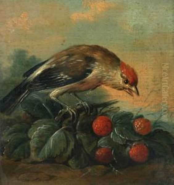 Little Bird With Raspberries Oil Painting by Jacob Van Der Does I