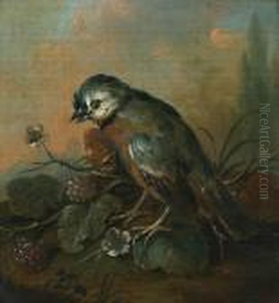 Little Bird With Blackberries Oil Painting by Jacob Van Der Does I