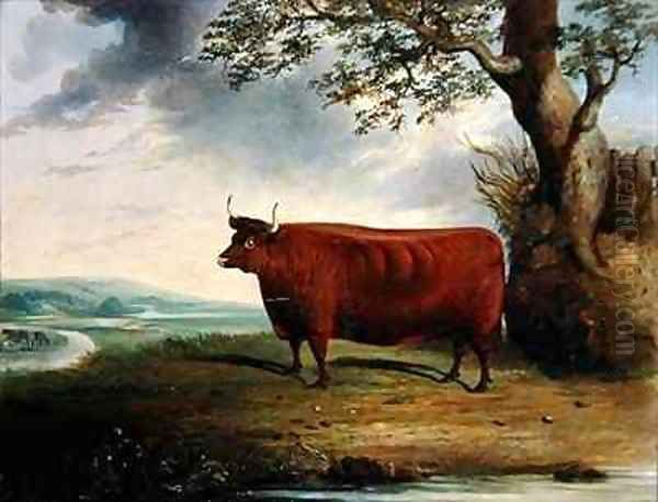 Portrait of a Brown Cow Oil Painting by George Fenn